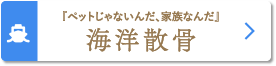 ペットじゃないんだ、家族なんだ「海洋散骨」