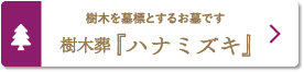 樹木を墓標とするお墓です「樹木葬『ハナミズキ』」