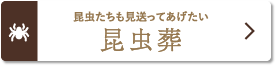 昆虫たちも見送っておげたい「昆虫葬」